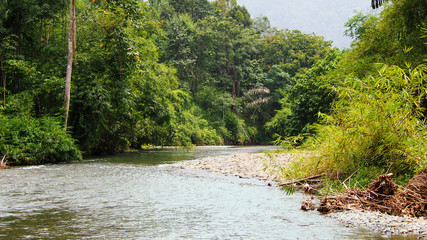 Bohorok River in Bukit Lawang, Sumatra, Indonesia