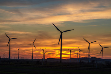 Group of wind power turbines at a sunset.