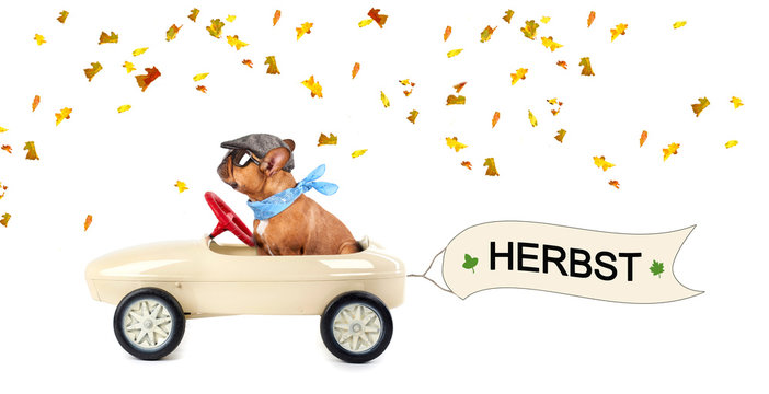 Herbst beginnt