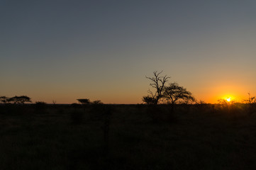 Fototapeta na wymiar Sunset on Kruger NP, South Africa