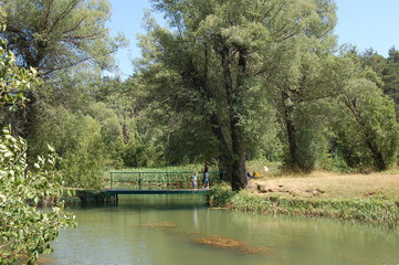 Obraz premium au long de la rivière 