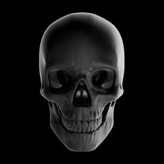 Human skull. 3d rendering