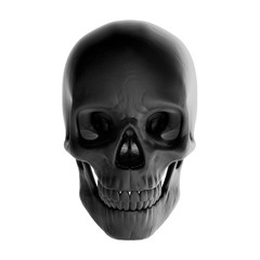 Human skull. 3d rendering