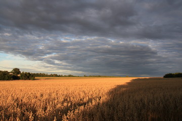 Przed Burzą