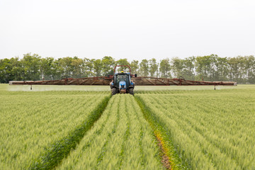 Fototapeta premium chemical treatment wheat spraying mushroom killing chemicals