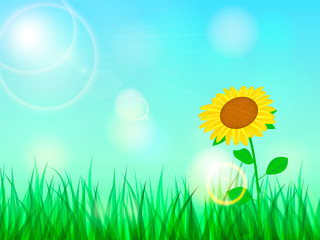 One sunflower grows in the field. Space for text. Vector illustration