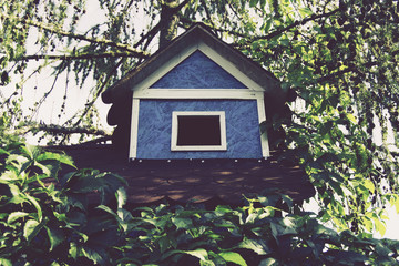 Niebieski domek na drzewie, w letni, słoneczny dzień