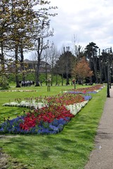 colorful garden in England
