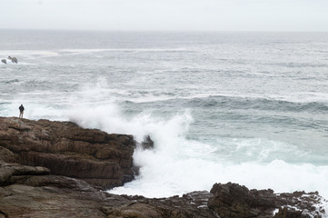 Hermanus whale path, South Africa