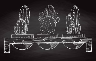 Naklejka premium Sketch three succulents in pots on a wooden stand isolated on the chalkboard. Vector illustration