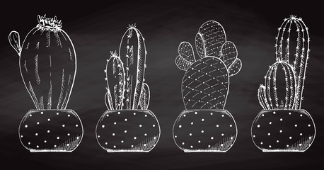 Sketch succulents in pots isolated on the chalkboard. Vector illustration.