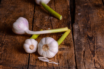 Frischer Knoblauch auf Holz Tisch rustikal