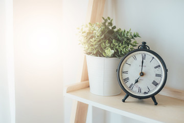 The vintage clock is on the shelves next to the flowerpot.