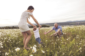 parent walking with her baby son on daisy field at the sunset time