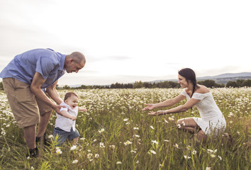 parent walking with her baby son on daisy field at the sunset time