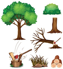 A Set of Cutting Tree © GraphicsRF