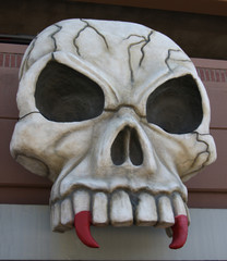 Skull 1