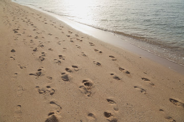 Many human footprints in sand of Red sea beach in morning soft sunlight. Horizontal color image.