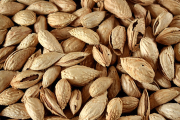 Close-up of unpeeled almond nuts