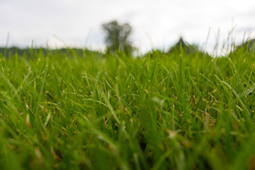 Scenics in Knoxville Tennessee