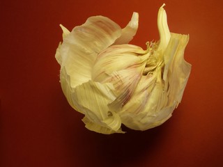 garlic light 1
