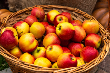 Red and yellow apple fruits