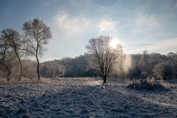 Winter landscape