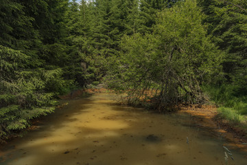Orange pond near Marianske Lazne spa