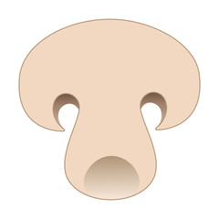 Slice of mushroom. Top view macro detail sliced fresh mushroom texture. Vector illustration isolated on white background.