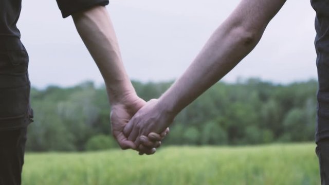 A couple of gay men walking on a green wheat field holding hands.