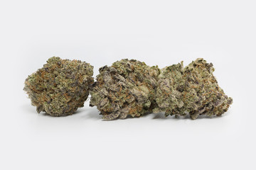 Hazewreck Cannabis Strain