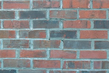 Obraz premium wall texture