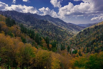 Scenics in Great Smoky National Park