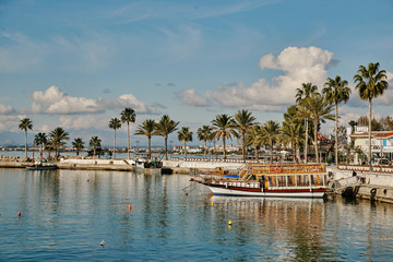 the Mediterranean coast