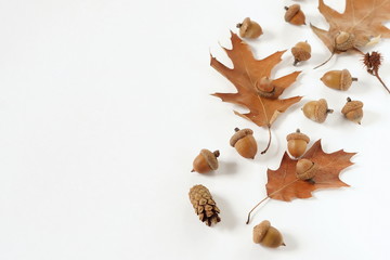 autumn composition. autumn leaves and acorns on a white background close-up. minimal concept.flat lay. top view. copy space