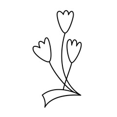 Design with line art flowers, transparent background