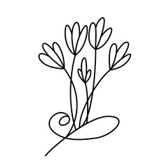 Fototapeta na wymiar Design with line art flowers, transparent background