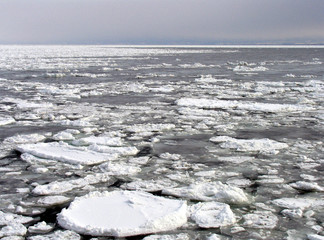 流氷の海