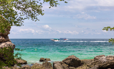 Monkey Island. Thailand.
