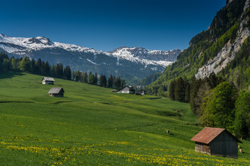 Fototapeta na wymiar Swiss, Melchsee-frutt valley