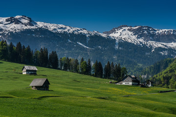 Fototapeta na wymiar Swiss, Melchsee-frutt valley