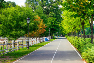 Fototapeta na wymiar beautiful road in a summer park and benches