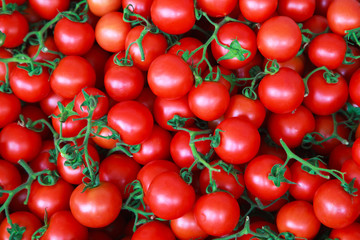 ripe cherry tomatoes background