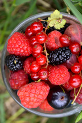 Fresh organic summer berries in a cup. Currant, raspberry, mulberry