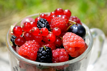 Fresh organic summer berries in a cup. Currant, raspberry, mulberry