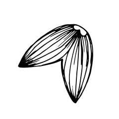 tail vector fish. Isolated on white background