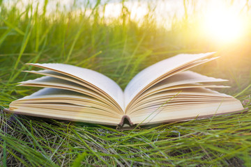 an open book on the green grass, a glare of the sun. Concept training, education, back to school. reading books in the park outdoors