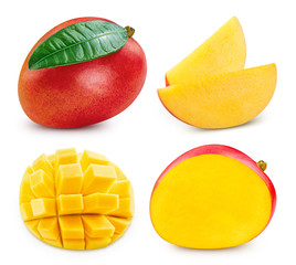Mango collection isolated Clipping Path