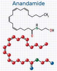 Anandamide molecule. It is endogenous cannabinoid neurotransmitter. Structural chemical formula and molecule model. Sheet of paper in a cage