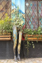 Plantas urbanas